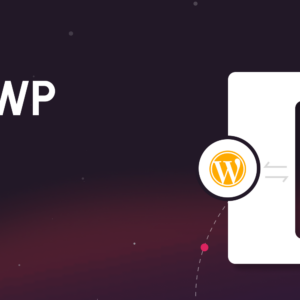 Advanced WP REST API
